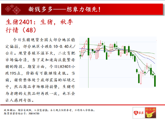 中天期货:螺纹2401弱势震荡 棕榈2401承压下行