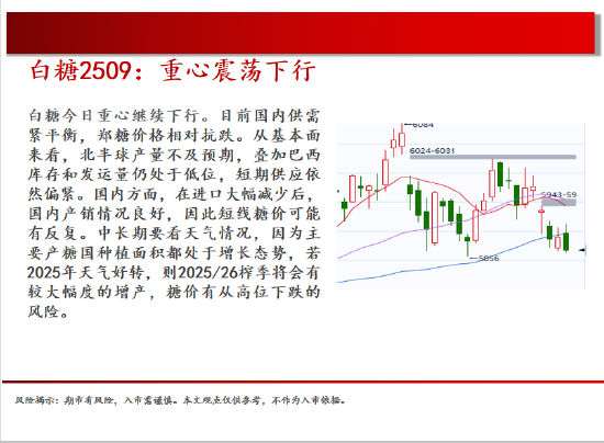 中天期货:原油回补缺口 棕榈继续下行