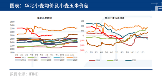 中粮期货:天气炒作后下行 玉米上涨是否已结束?