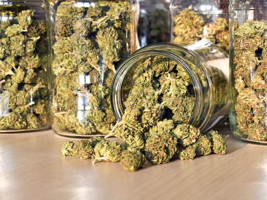 4只顶级大麻仙股19年你值得拥有 手机新浪网 4只顶级大麻仙股19年你值得拥有 手机新浪网