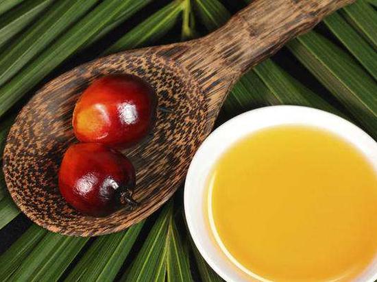 价格已经拉成我们害怕的模样 棕榈油还能不能买?