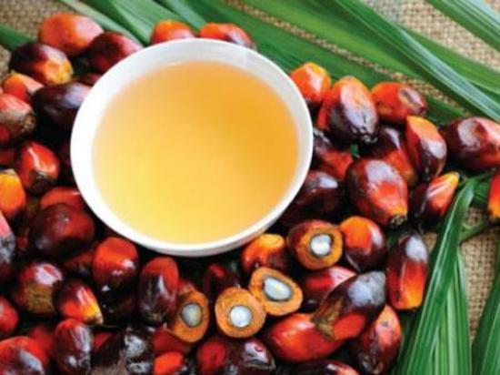 期市午评:油脂类涨幅居前 棕榈油大涨逾3%