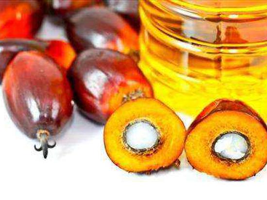 华泰期货棕榈油调研纪要：2019年10月印尼棕榈油调研