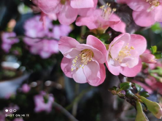 高通总裁安蒙开通微博并发了张照片，小米手机水印亮了