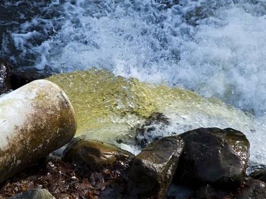 ESG舆情|东电强推污水排海计划 是违背ESG准则的典型事件