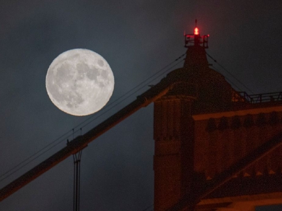 李峥：美国“魔力”渐衰影响全球人才流向