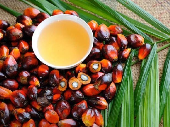 欧盟“歧视”棕榈油？马来西亚官员：生产国之间应加强合作 – 新浪