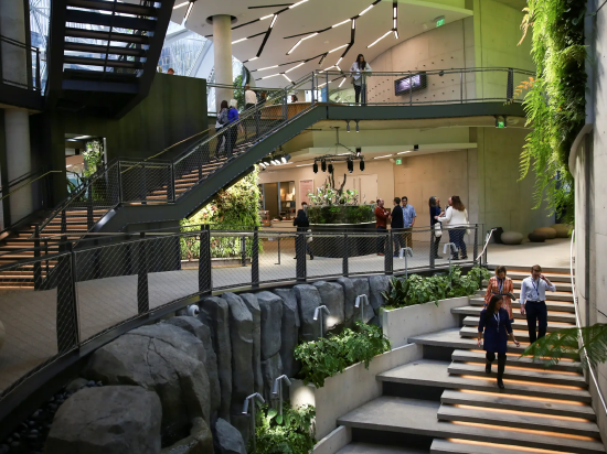 亚马逊已在多种工作职能中使用ChatGPT 包括编写代码等