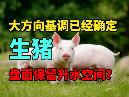 生猪：大方向基调已经确定，盘面保留升水空间？