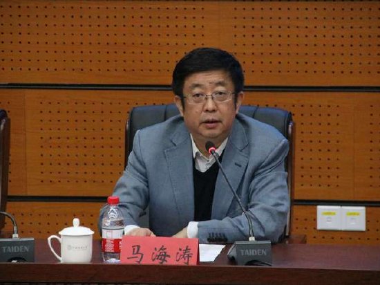 马海涛：以全面提升财政政策效能促发展