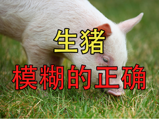 【中粮视点】生猪：模糊的正确
