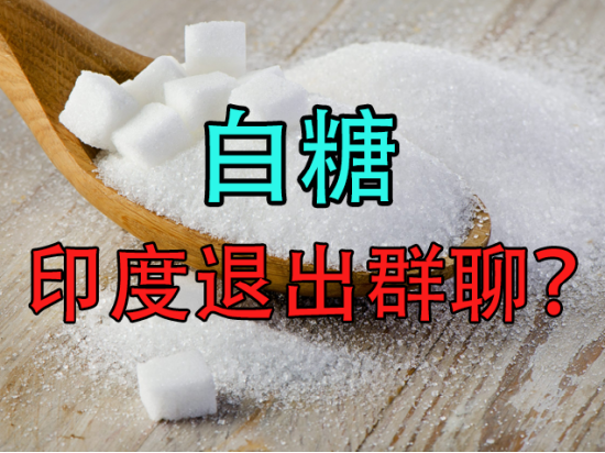 【中粮视点】白糖:印度退出群聊?