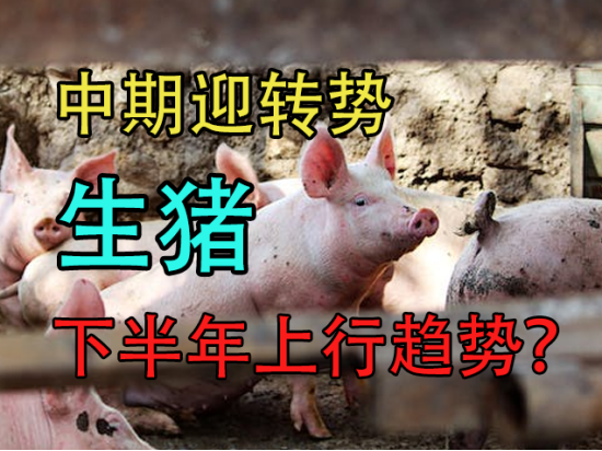 生猪：中期迎转势，下半年上行趋势？