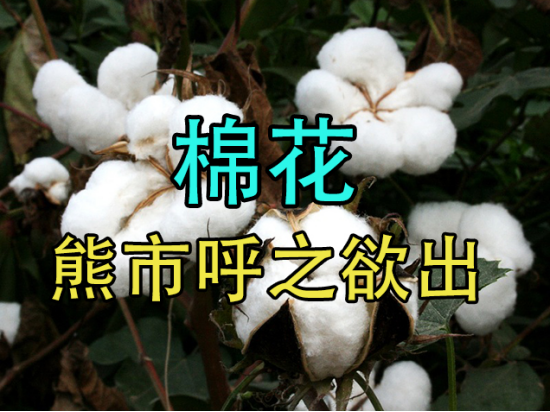 棉花：熊市呼之欲出
