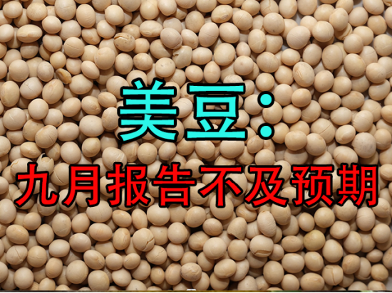 美豆：九月报告不及预期