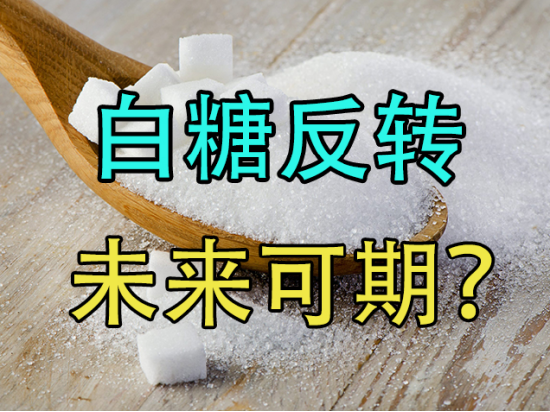 白糖反转,未来可期?