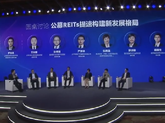 中国太保资产管理副总经理严赟华：REITs发展仍需更健全的法律设计