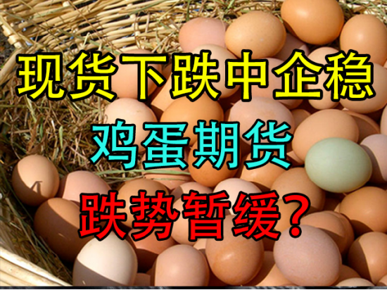 现货下跌中企稳,鸡蛋期货跌势暂缓?|现货_新浪财经_新浪网