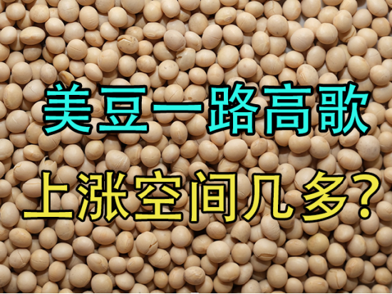 美豆一路高歌，上涨空间几多？