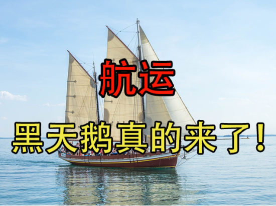 航运:黑天鹅真的来了!红海地缘冲突影响分析