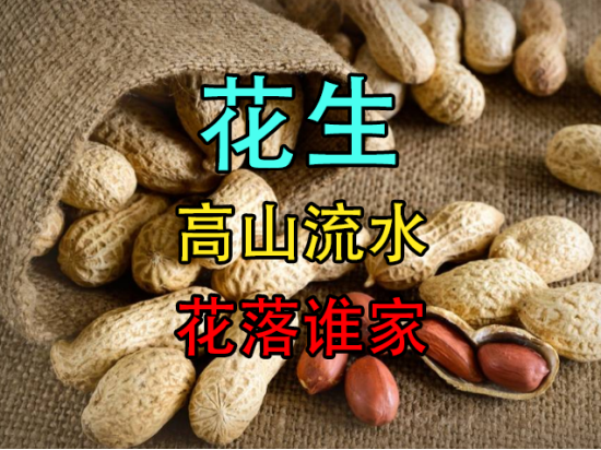 【秋季策略报告回顾与展望】花生:高山流水 花落谁家