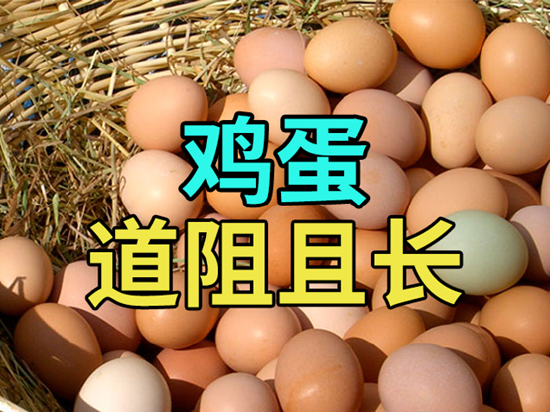 【中粮视点】鸡蛋:道阻且长