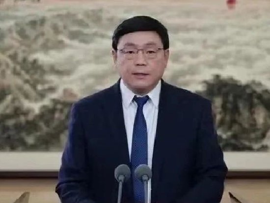 国家电网董事长调整，张智刚接替辛保安_新浪财经_新浪网