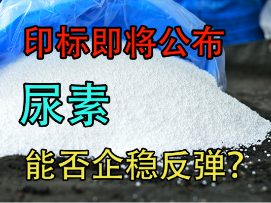 印标即将公布,尿素能否企稳反弹?