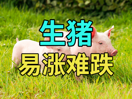 【中粮视点】生猪:易涨难跌