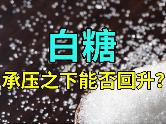 白糖:承压之下能否翻身?