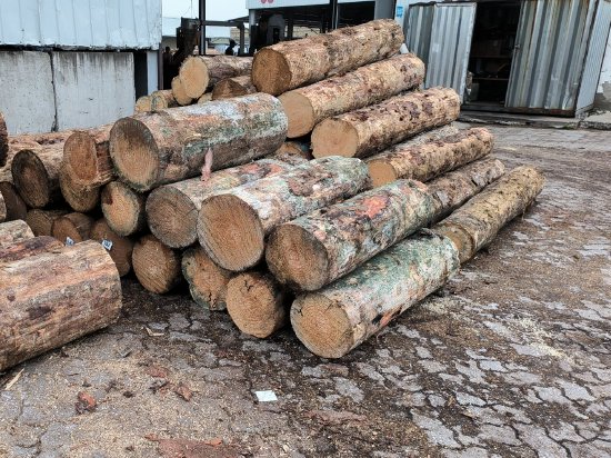 第二日：因地产下滑而转型的木材厂 节子影响价格