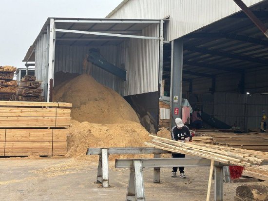 深度报告：谁主沉浮？从华东看全球原木定价博弈