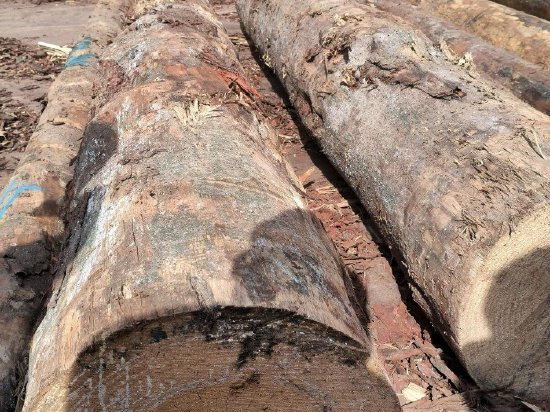 三：行业寒冬下的风险敞口 传统提价月也难稳盈利