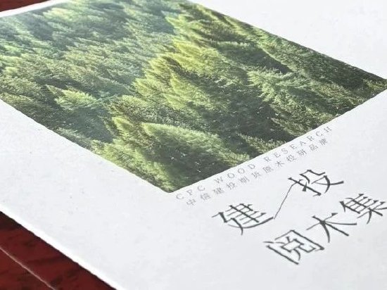 新西兰林业的发展史：绿色铁矿石的供应周期