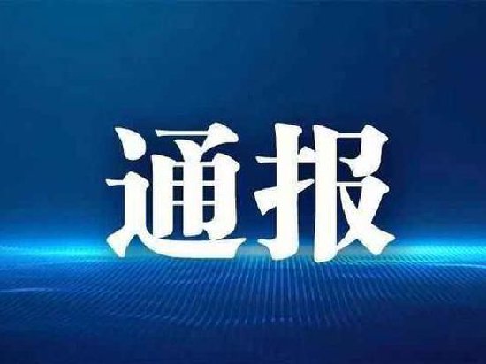 官方通报“蔡国强烟花秀”事件调查核查情况：县委书记被免职