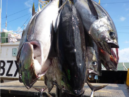 立华股份实际控制人不断减持：持续扩张之后盈利能力较弱 有息负债大幅增长偿债压力大