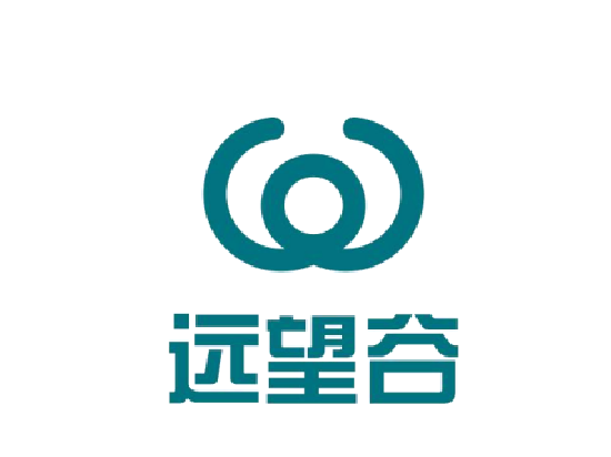 远望谷6.9亿元定增：补流总金额是否合规待考 新增募投项目语焉不详