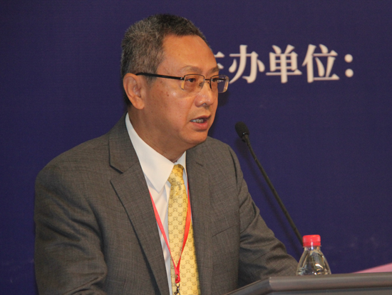 华夏新供给经济学研究院首席经济学家、原财政部财政科学研究所所长贾康