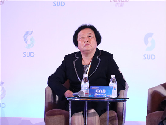 十二届全国人大外事委员会副主任、蓝迪国际智库专家委员会主席赵白鸽