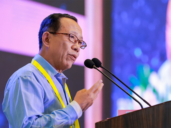 国家税务总局税收科学研究所原所长、中国法学会财税法学研究会副会长刘佐