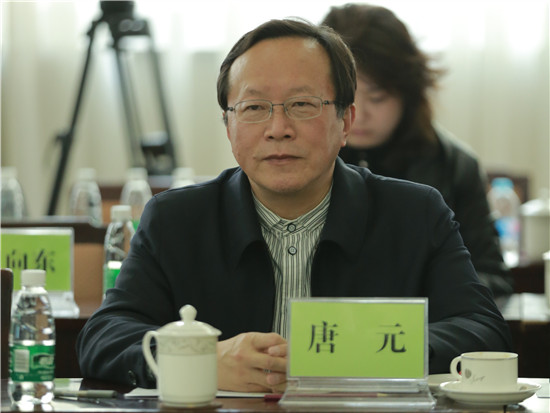 中国政策研究会研究员唐元