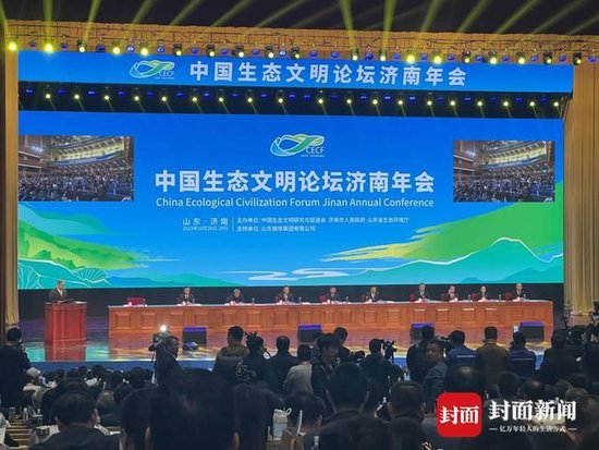 封面新闻记者代睿 摄影