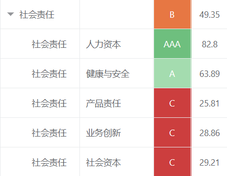 齐翔腾达社会（S）分数（来源：秩鼎公司）