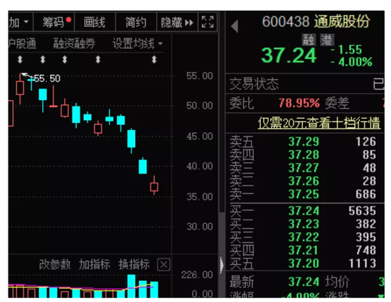 “低估值的碳中和概念股出炉 机构抢筹龙头超10亿