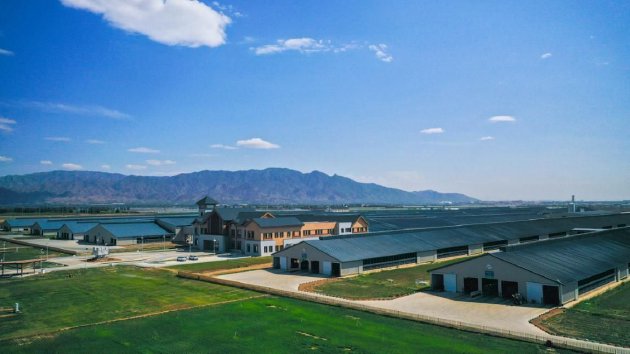 伊利在上游建设“绿智能牧场”实现源头减碳