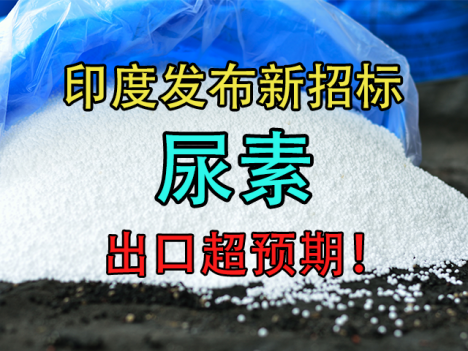 印度发布新招标，尿素出口超预期！