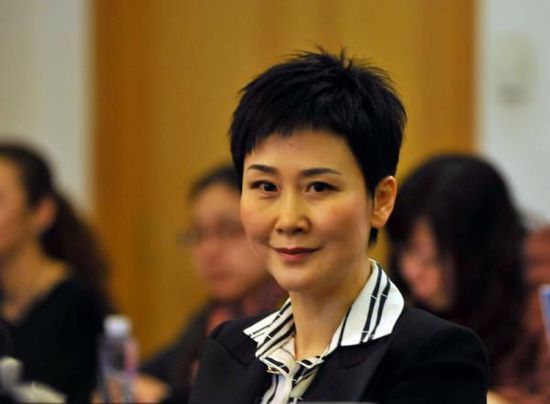 李小琳提案之二:十二五电力规划没发布造成不利影响