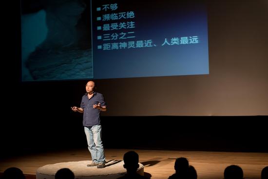 纪录片导演王鹏