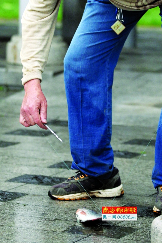 弹弓射出去的是一根8厘米左右长,带有锋利箭头的钢条,还能用收线器收