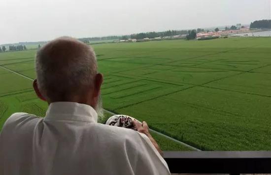 图为村嶋孟寻访吉林省永吉县万昌大米产地，中新社记者 肖欣摄。